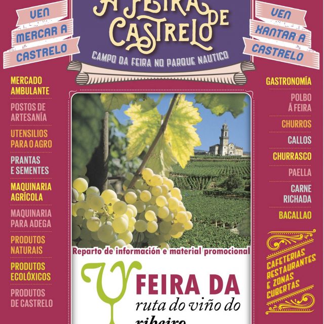 Feira da Ruta do Viño do Ribeiro en Castrelo de Miño